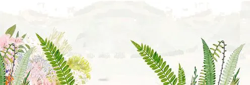 业余篮球队比赛前训练计划怎么写_1